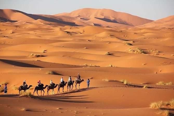 Merzouga Camel Trekking Camp المظهر الخارجي الصورة